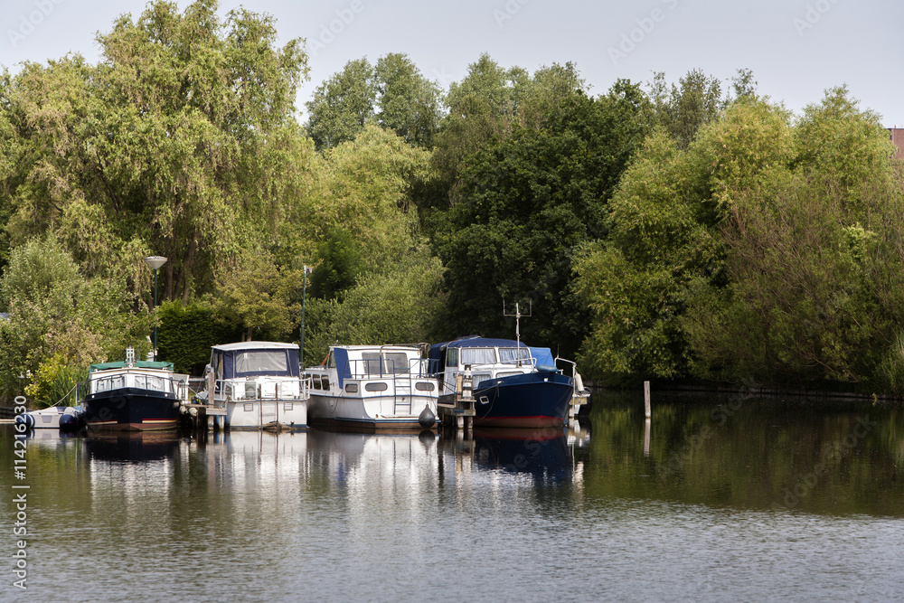 Boats moored in a small harbor