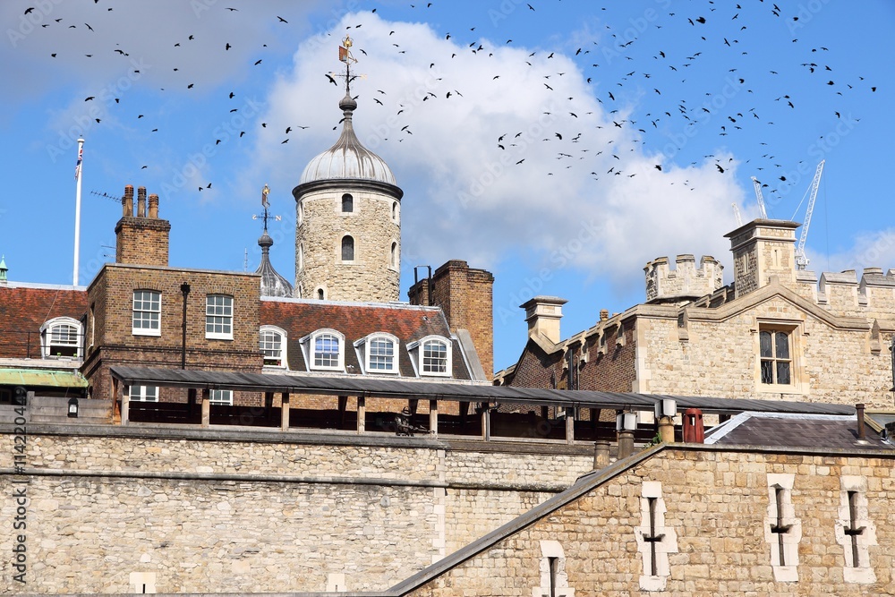 Tower of London with birds