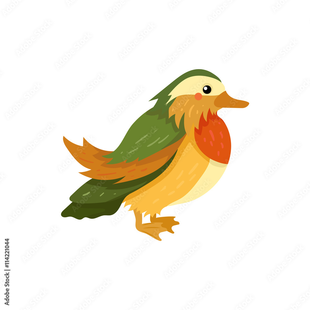 Mandarin Duck Realistic Childish Illustration Mandarin Duck Realistic Childish Illustration
