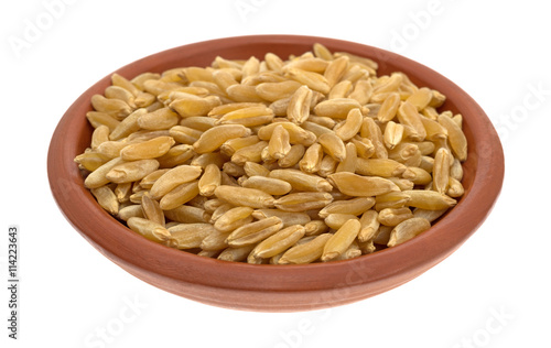 Small bowl filled with Khorasan wheat isolated on a white background.