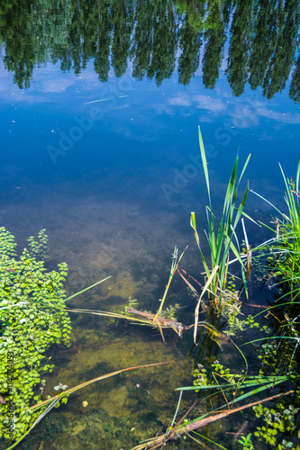 Lake with still water in summer - vertical