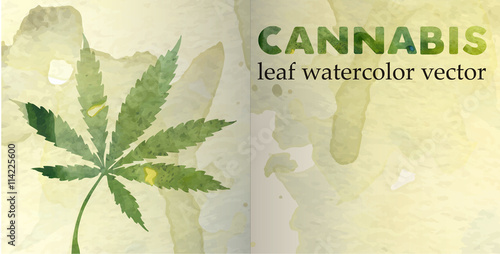 Marijuana leaf on the old watercolor paper background, vector image