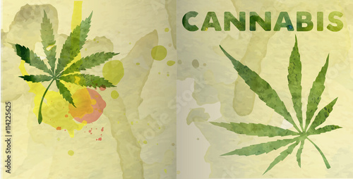 Marijuana leaf on the old watercolor paper background, vector image