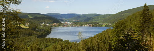 Blick zum Titisee im Schwarzwald