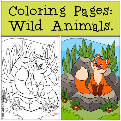 Coloring Pages: Wild animals. Little cute baby fox