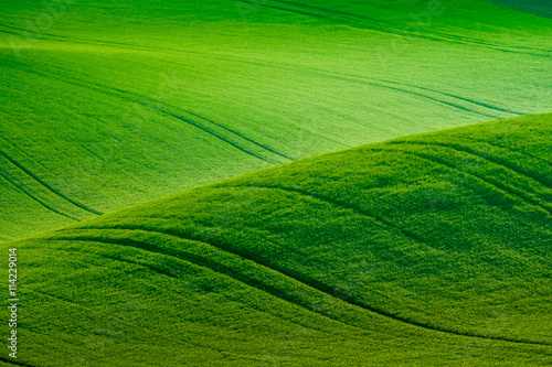 Green wavy hills in South Moravia © Anton Gvozdikov