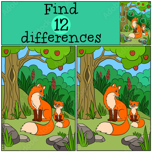 Children games: Find differences. Mother fox sits with her little cute baby