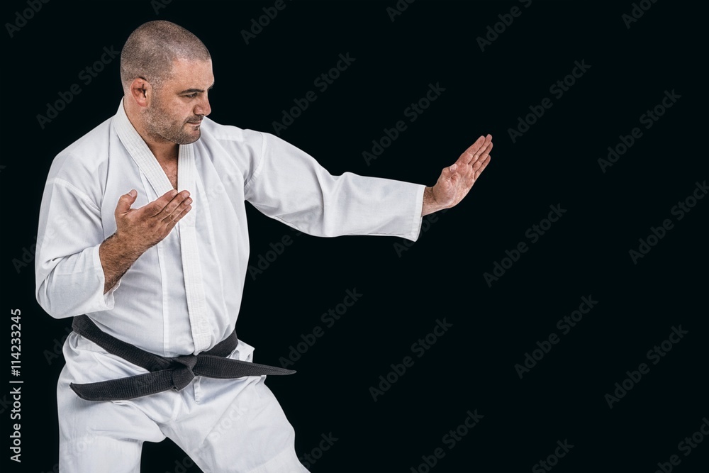 Composite image of fighter performing karate stance Composite image of fighter performing karate stance