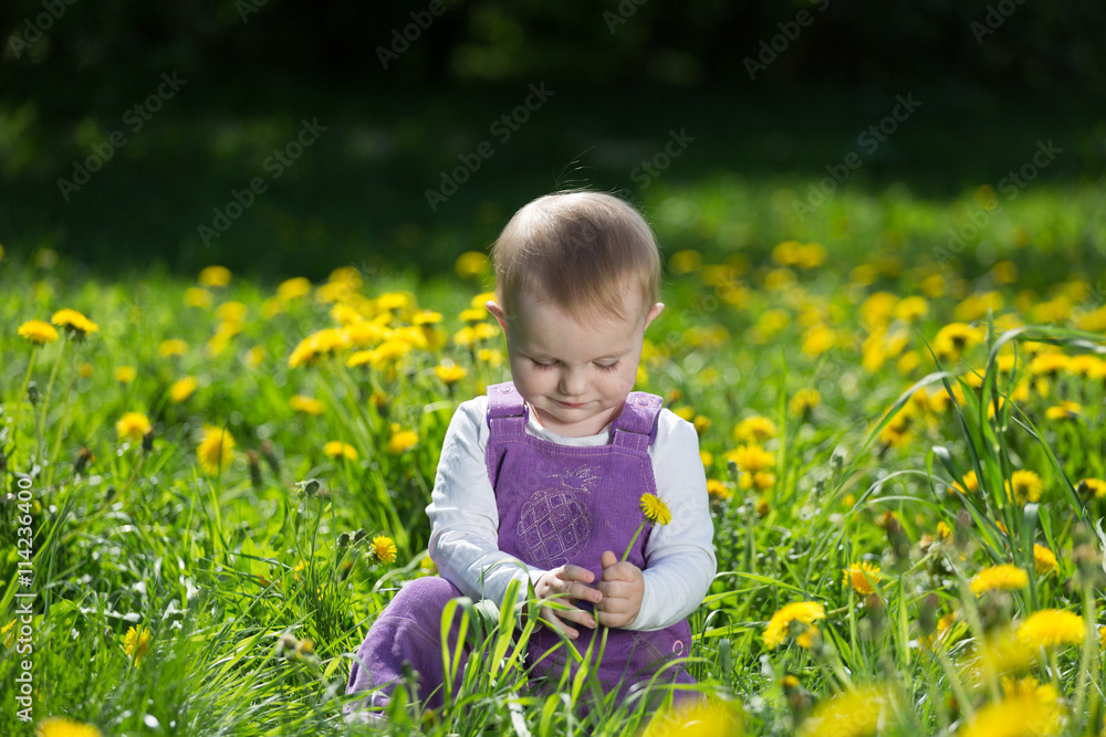Portrait of the little girl among the blossoming dandelions Portrait of the little girl among the blossoming dandelions
