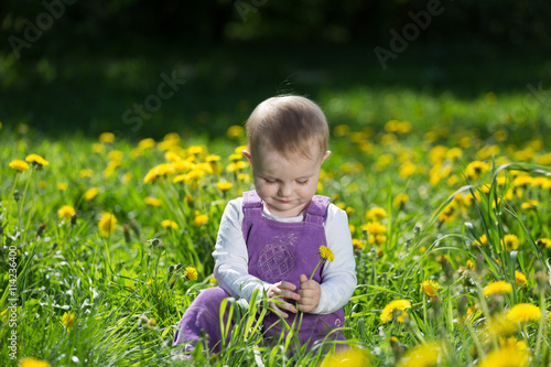 Portrait of the little girl among the blossoming dandelions