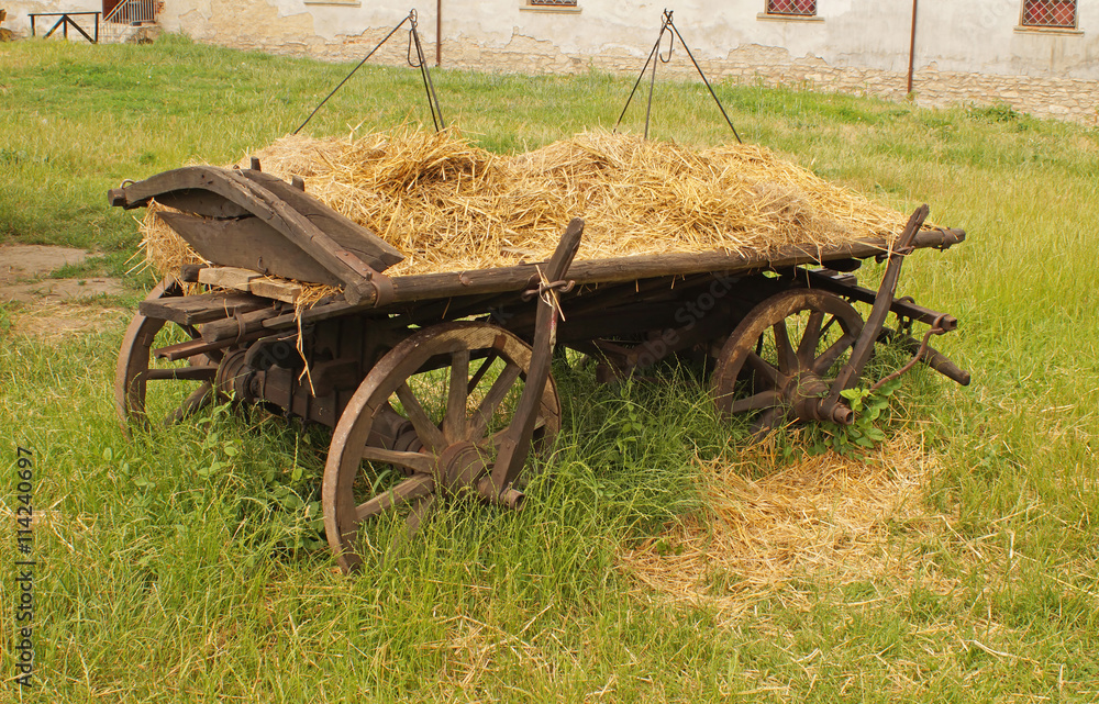 Cart with hay