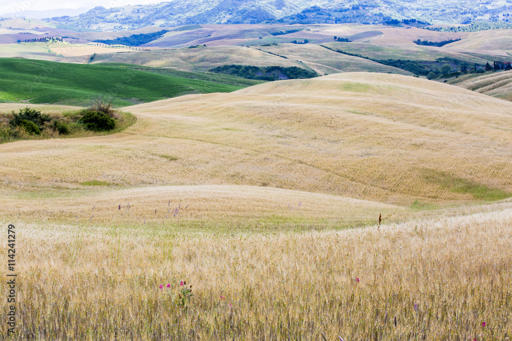 Fototapeta premium Un jour en Toscane