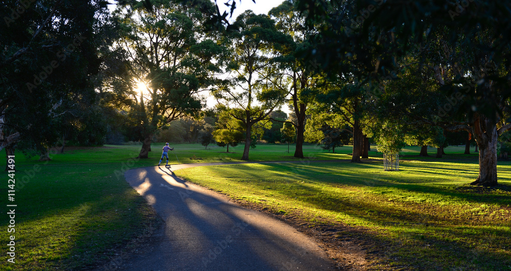 Obraz premium Beautiful park in Sydney.