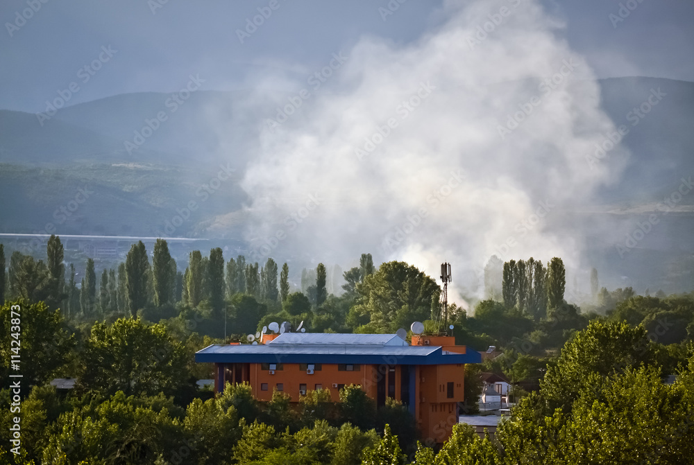Fototapeta premium Wildfire near the building