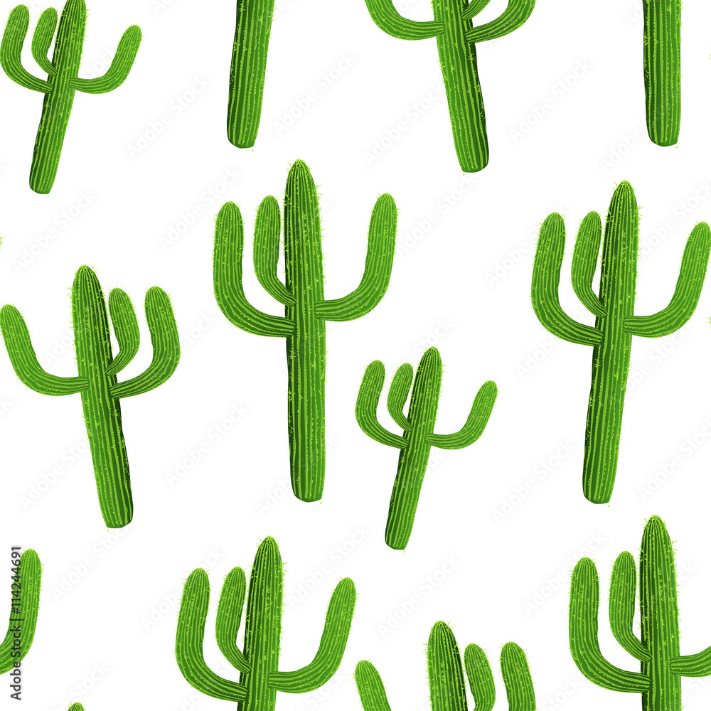 Cactus realistic seamless vector pattern on white background. Vector illustration Cactus realistic seamless vector pattern on white background. Vector illustration