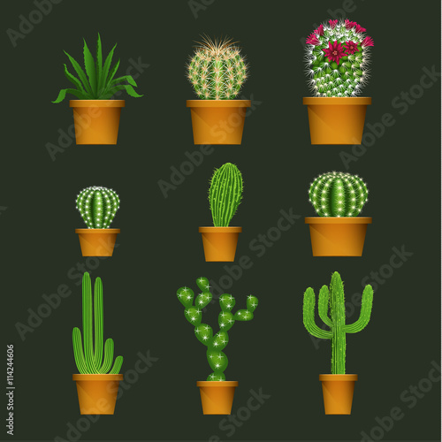 Different cactus types in flower pot realistic isolated plant icons set. Vector illustration