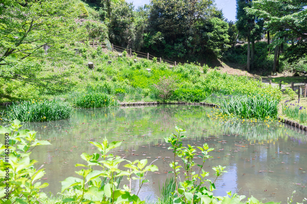 Pond of the Yamanaka Castle ruin Park Pond of the Yamanaka Castle ruin Park