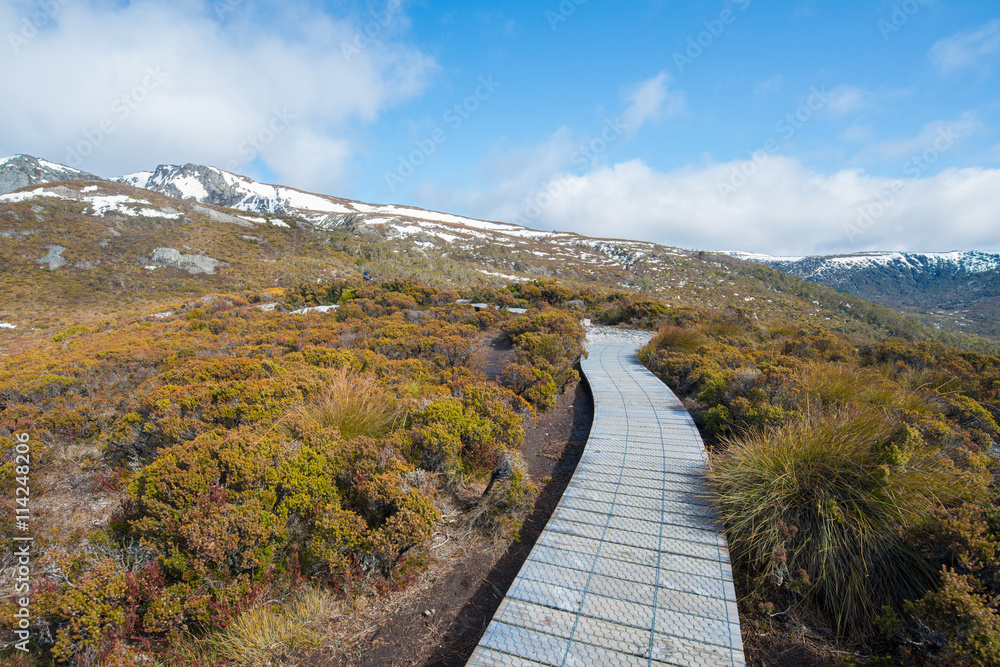 Board walk in Cradle mountain national park, Tasmania.