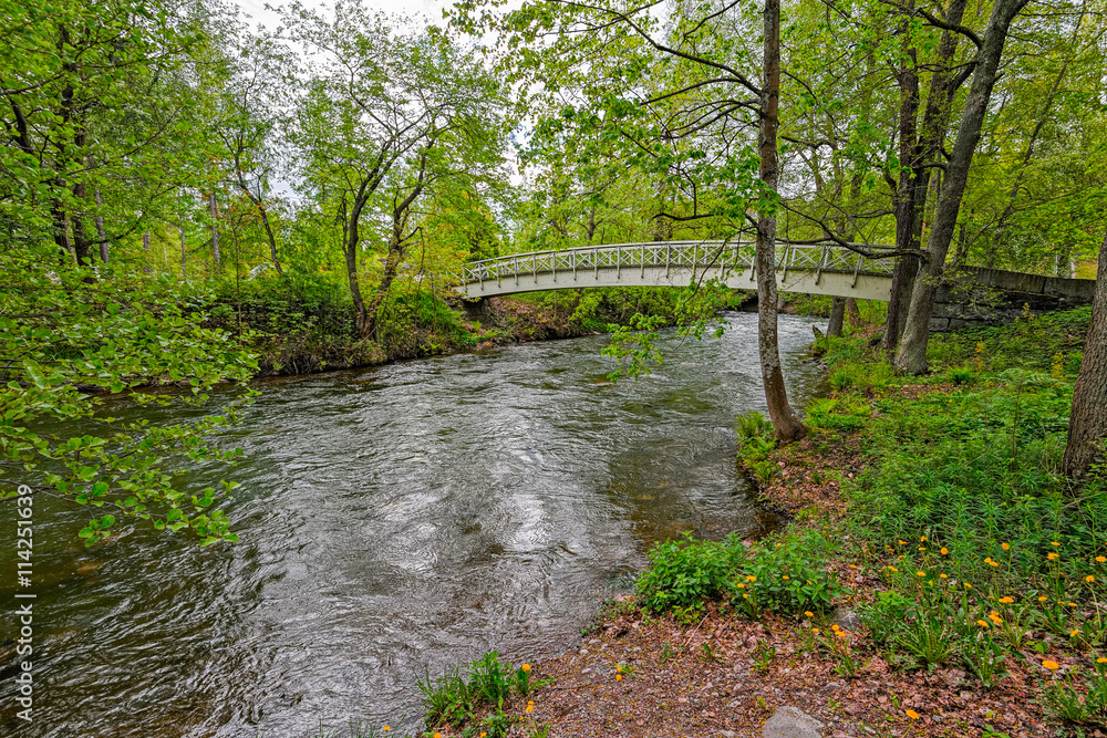 Fototapeta premium Pedestrian wooden bridge over stream