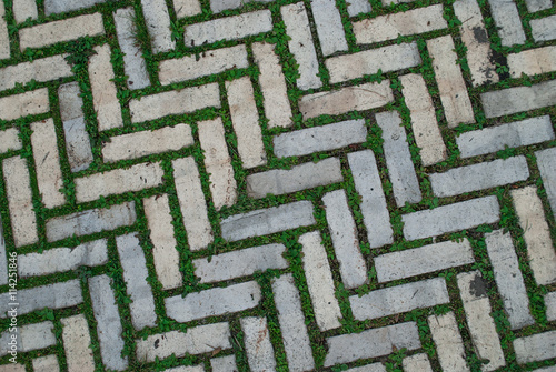 Old cobblestone background with grass / Brick with grass / tiles with grass / stone way in green grass / Bending garden stone path / garden stone path with grass