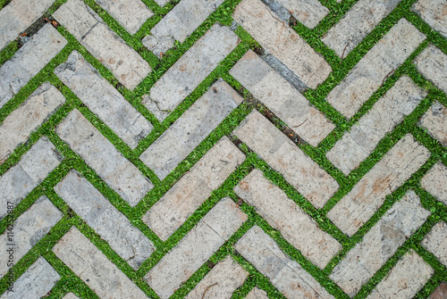 Old cobblestone background with grass / Brick with grass / tiles with grass / stone way in green grass / Bending garden stone path / garden stone path with grass