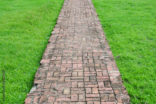 Old brick sidewalk through grass