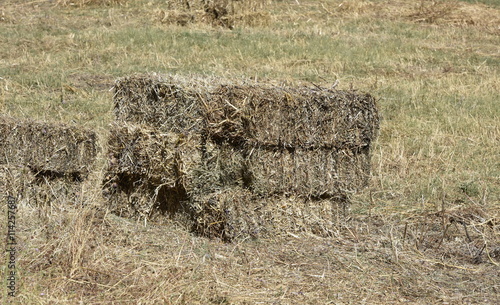 bottes de foin photo