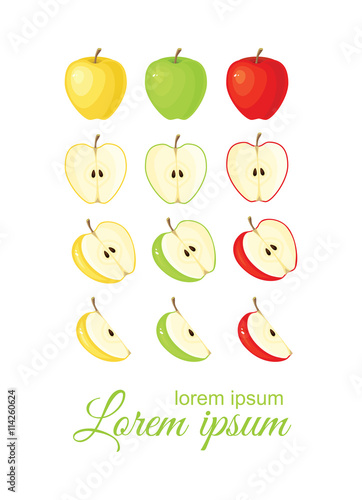 Vector illustration of red, green and yellow ripe apple and apple slices isolated on white background. 