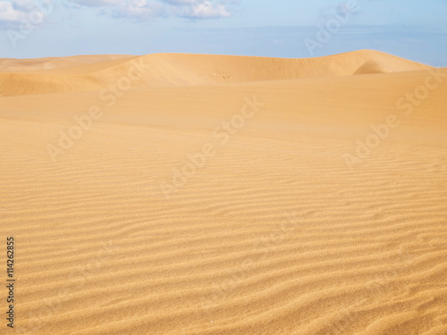 Dunes of Maspalomas - protected landscape area in Canary Island