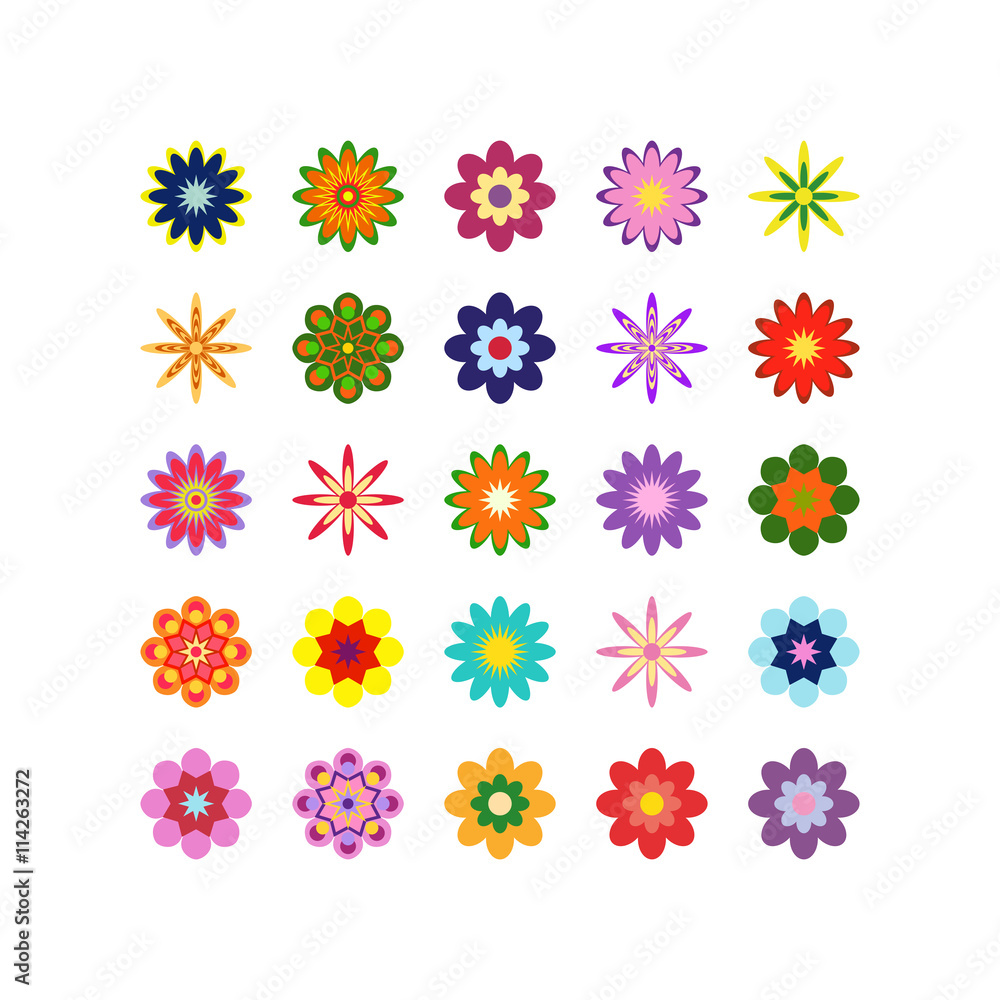 large set of different flowers of different colors on white large set of different flowers of different colors on white