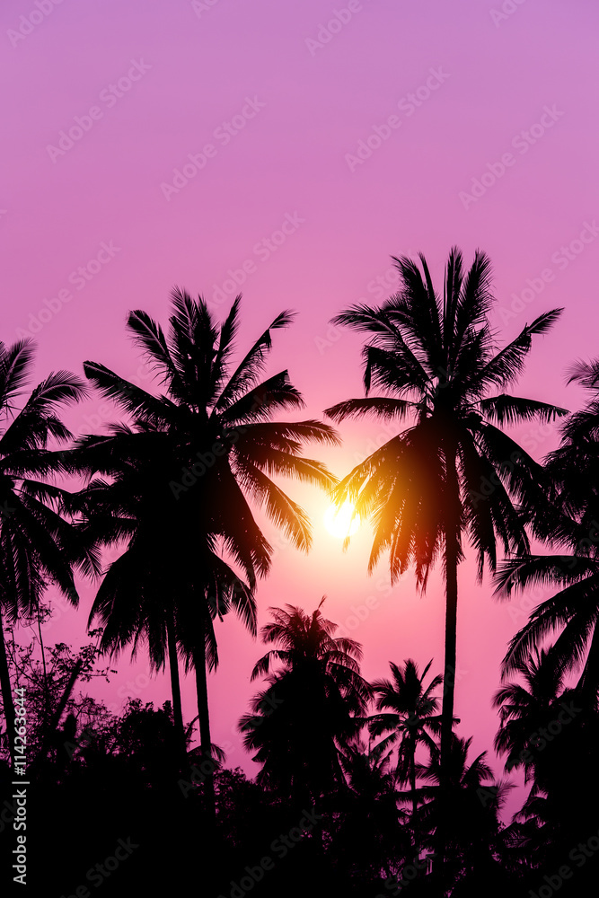 Silhouette coconut tree with sunset