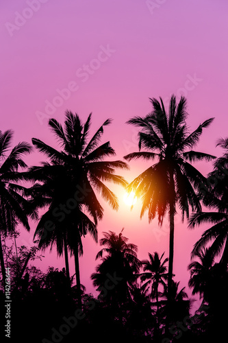 Silhouette coconut tree with sunset © pushish images