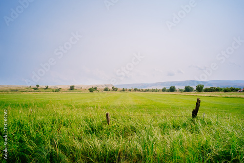 Wire fence on lush green farmland photo