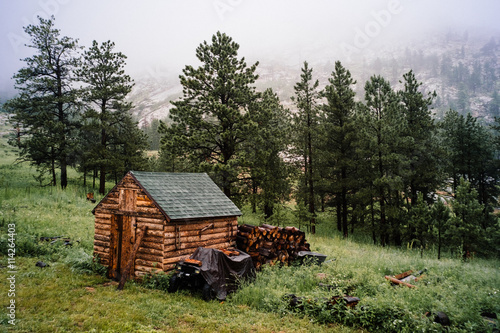 Log cabin on hillside by forest