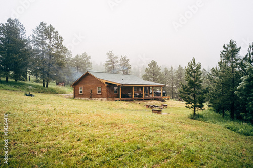 Log cabin with porch by forest