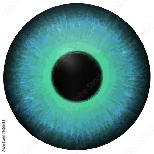 Eye iris vector texture