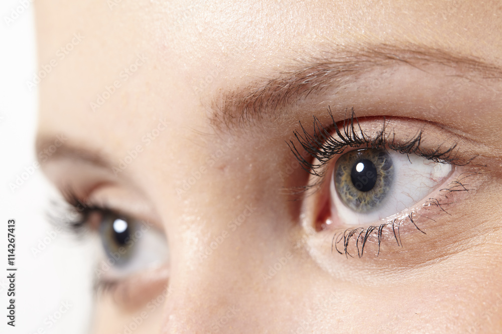 Obraz premium Close up blaugraue Augen einer jungen Frau