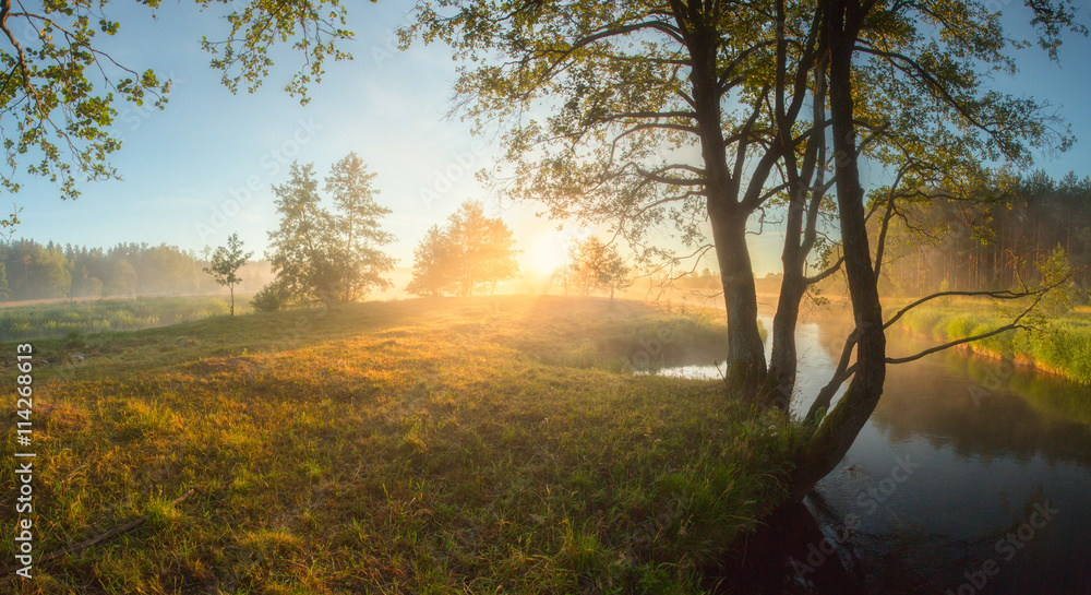 Fototapeta premium Bright summer sunrise