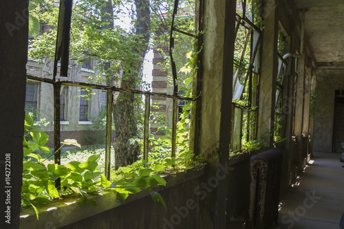 Принти на полотні Overgrown hallway in Ellis Island building