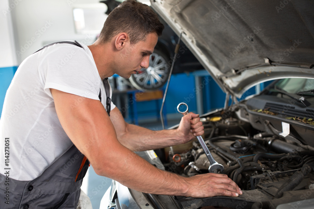 Checking the engine Checking the engine
