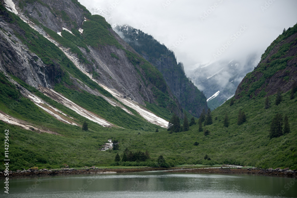 Tracy Arm Fjord mountains, covered in greenery and glacial ice, with Alaskan water in the foreground. Tracy Arm Fjord mountains, covered in greenery and glacial ice, with Alaskan water in the foreground.
