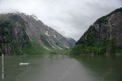 Steep glacial mountains in Tracy Arm Fjord, Alaska, with floating glacier ice in water in foreground