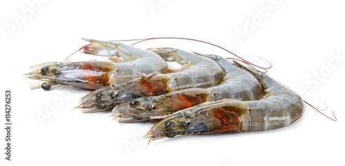 Raw shrimp isolated