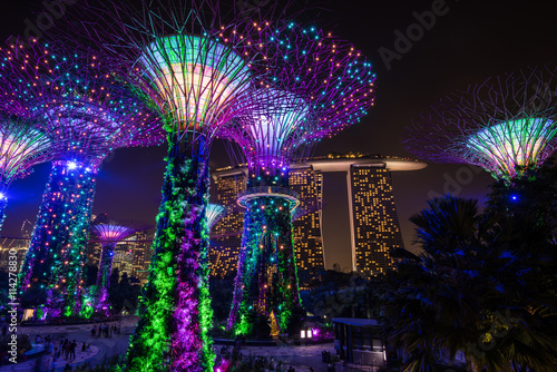 シンガポール ガーデンズ・バイ・ザ・ベイ 夜景