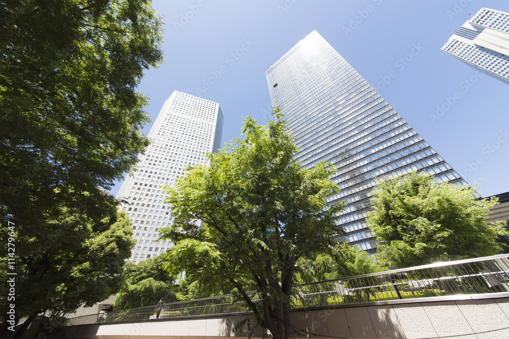 春　新緑　青空　新宿高層ビル街　見上げる　超広角