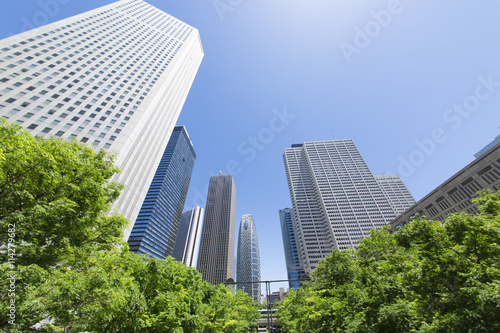 新宿高層ビル街 中央通り 超広角 春 新緑 青空 見上げる