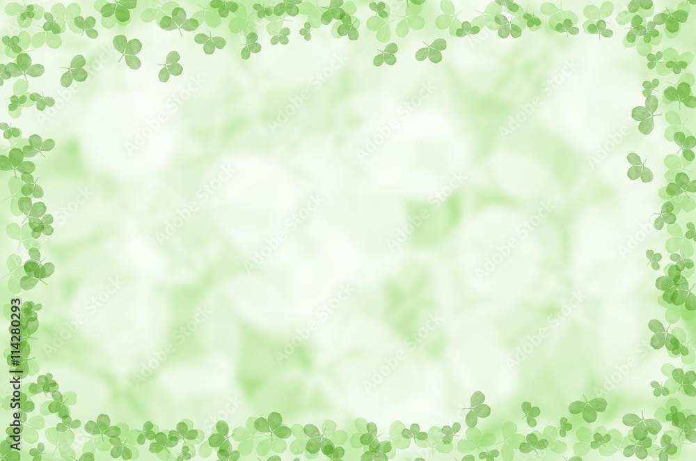 summer green clover leaves background summer green clover leaves background