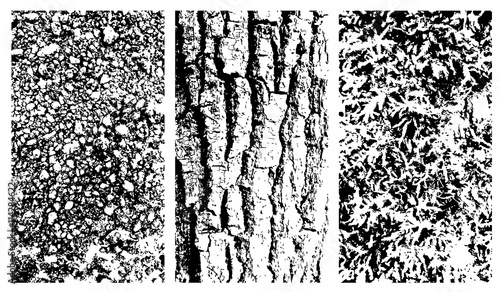 Vector wooden bark, stone and moss texteres