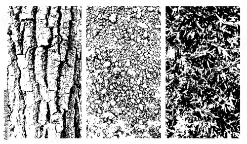 Vector wooden bark, stone and moss texteres