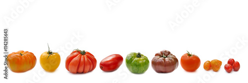 rangée de  tomates - variétés anciennes isolées sur fond blanc 
